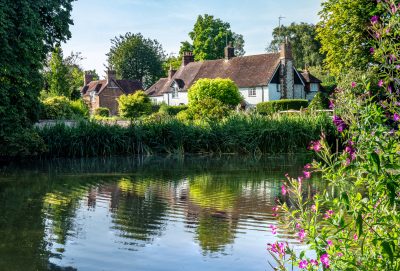 Reflections in the village pond at Buriton  with vivid pink flowers in the foreground.